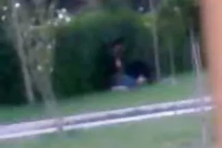 Szopás egy forgalmas parkban. szep szoros pinak