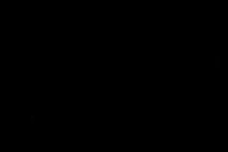 A szöröspunci partnered pénisze.
