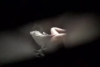 Vibrátor kísérlet. vörös szőrös punci
